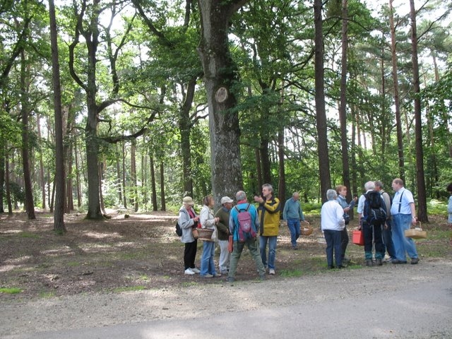 2008 07  Myco porte Baudet 04